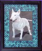 bull terrier pastel painting